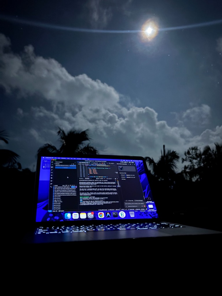 Animesh Manna Coding Workspace